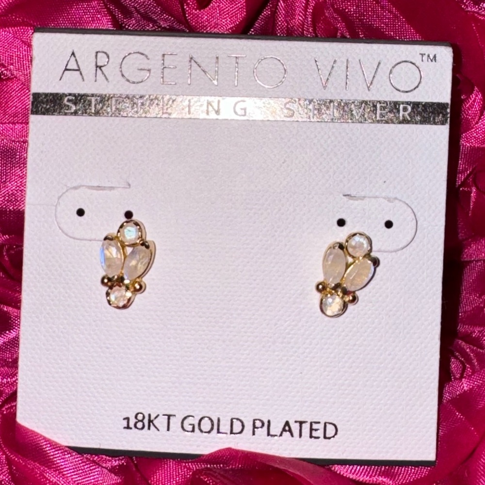 Argento vivo 18kt gold plated earrings ✨